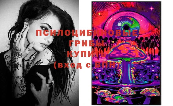 героин Михайлов