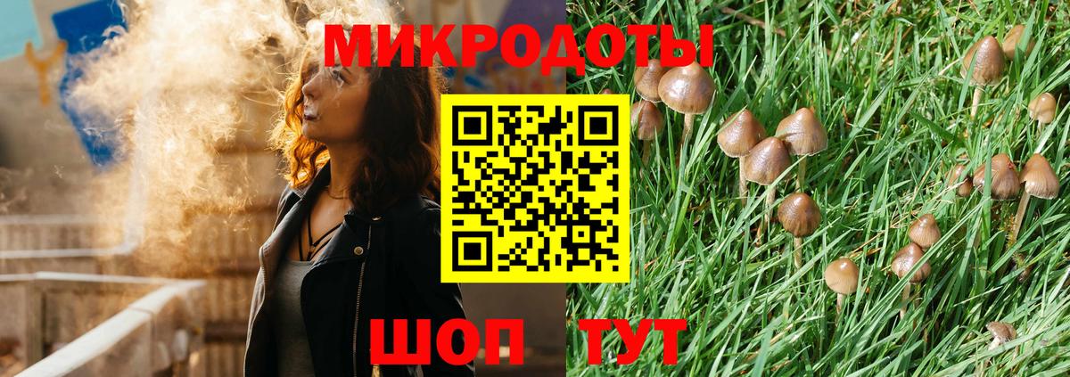 Псилоцибиновые грибы GOLDEN TEACHER Красный Сулин